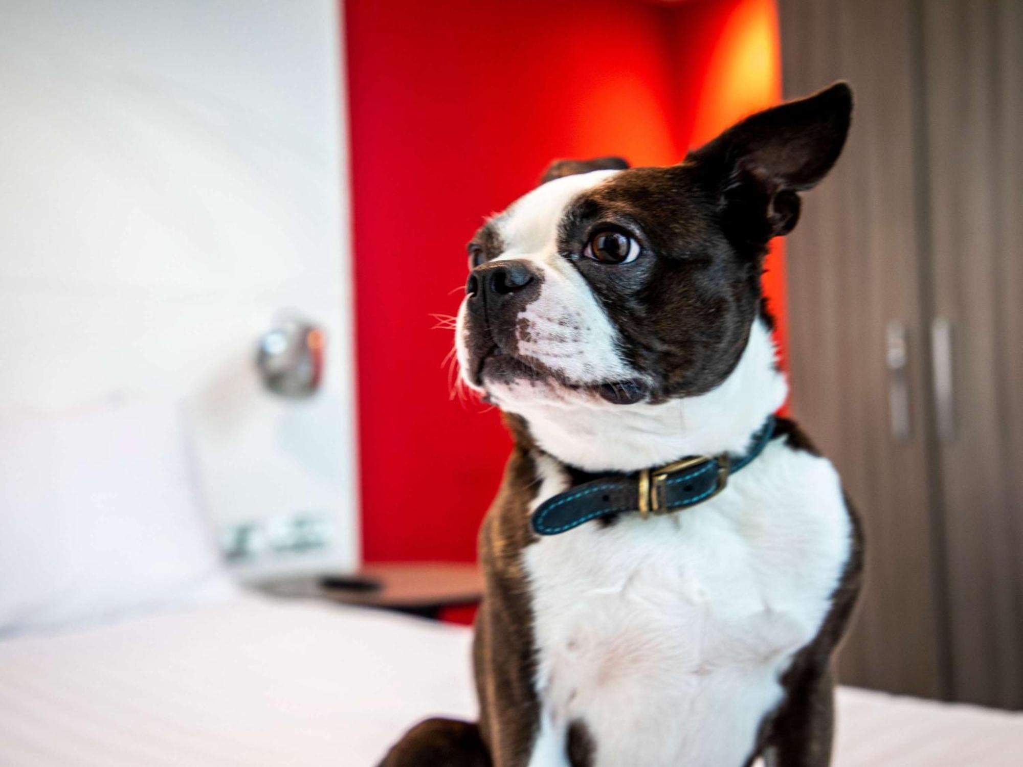 Ibis Styles Glasgow Central Esterno foto