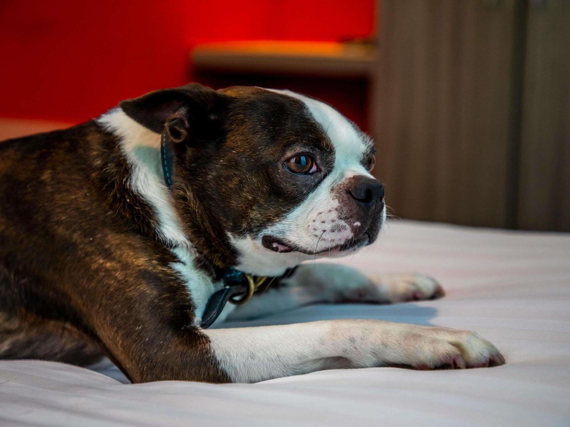 Ibis Styles Glasgow Central Esterno foto