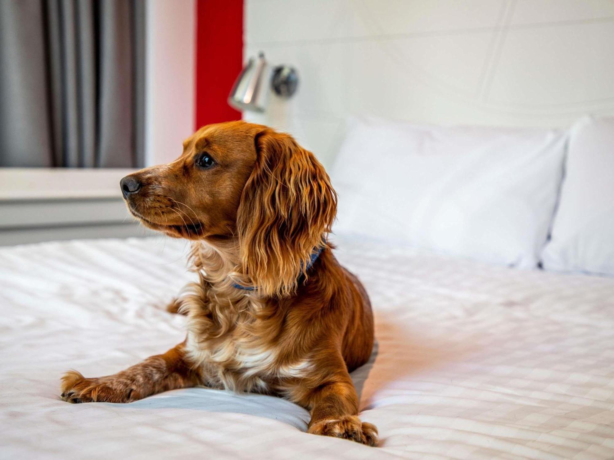Ibis Styles Glasgow Central Esterno foto